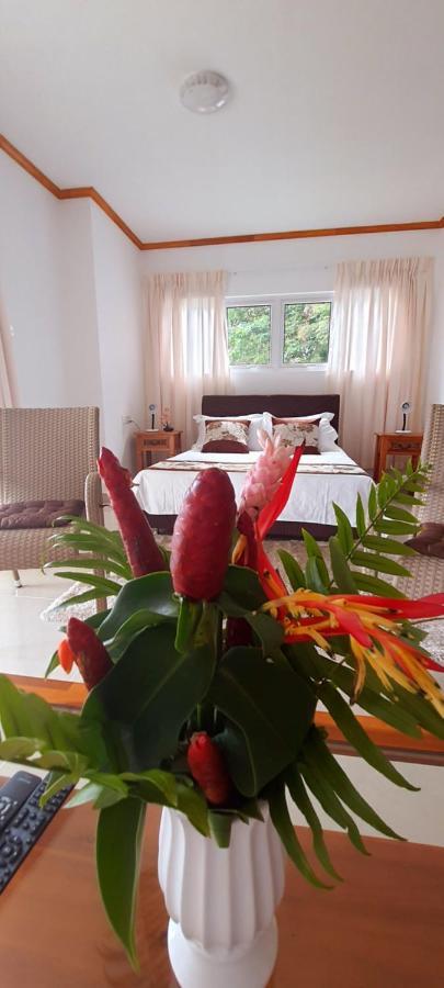 Le Chant De Merle Self -Catering Studios And Apartments Mahe Island Eksteriør billede