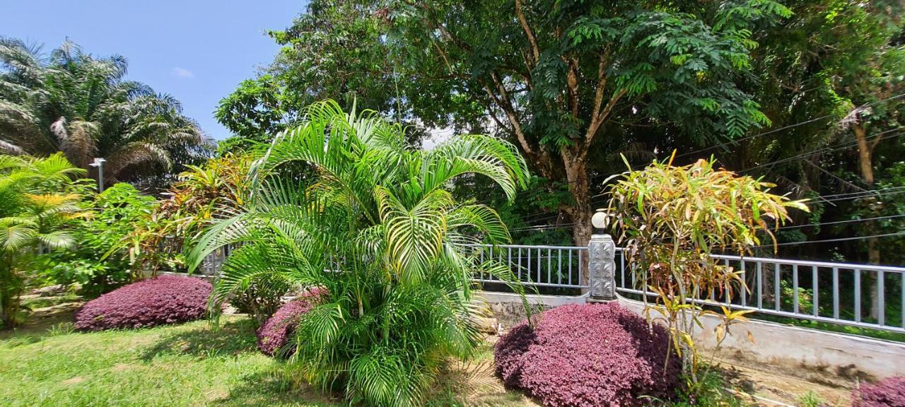 Le Chant De Merle Self -Catering Studios And Apartments Mahe Island Eksteriør billede