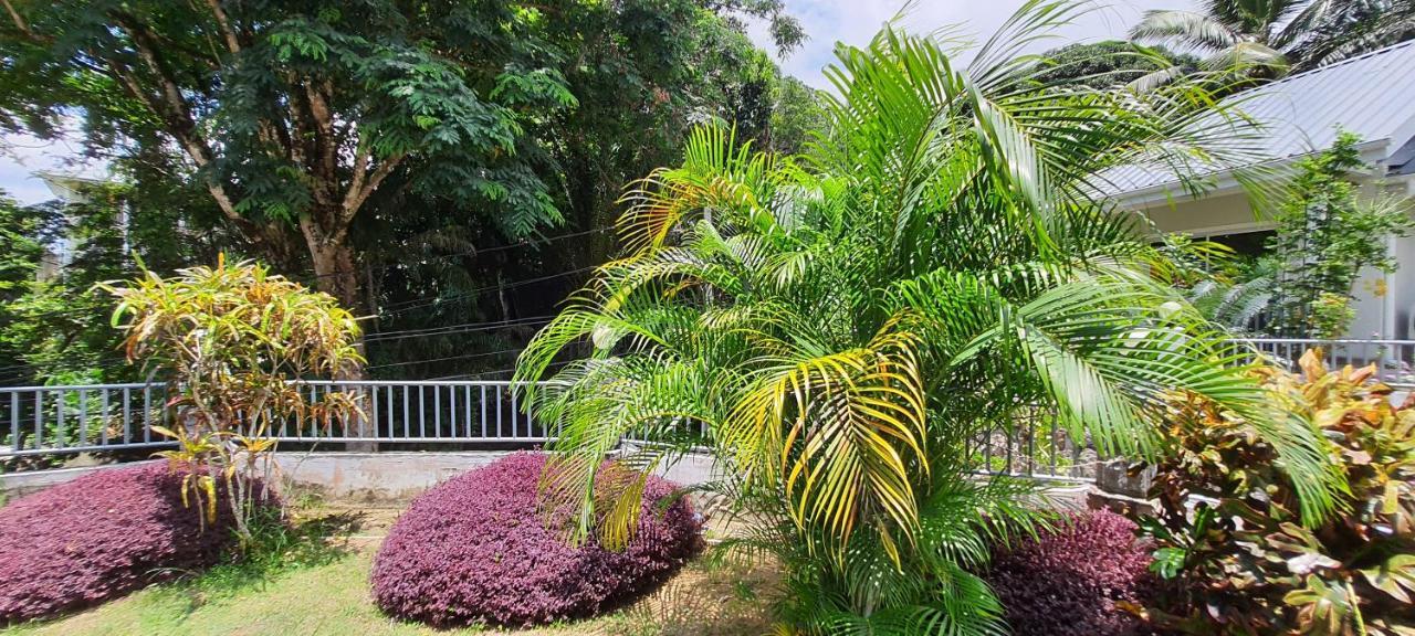 Le Chant De Merle Self -Catering Studios And Apartments Mahe Island Eksteriør billede